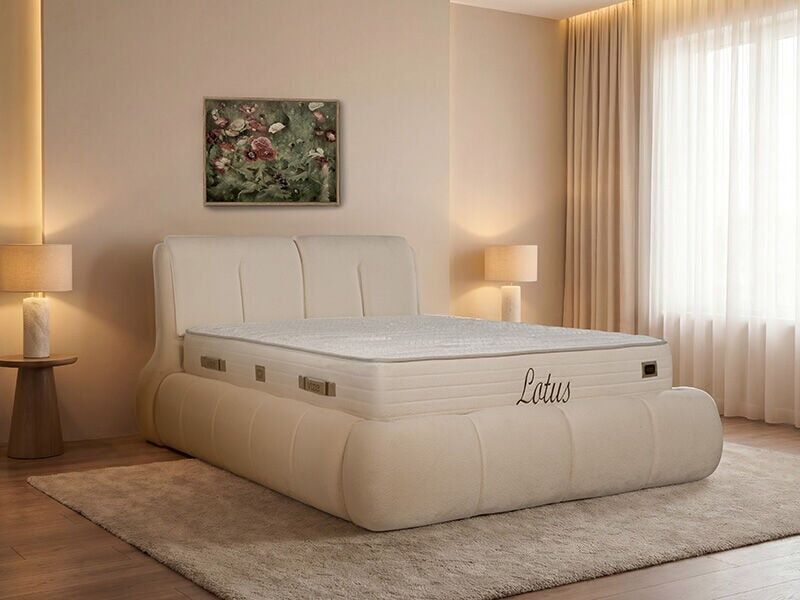 Lotus Baza Seti