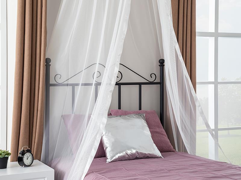 Victortia Genç Odası Takımı